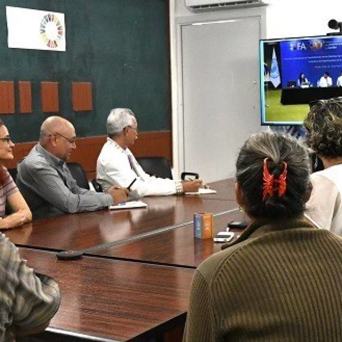 ¡Las juventudes están liderando el cambio!
