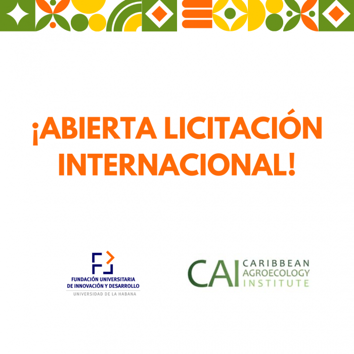 Licitación Internacional Abierta