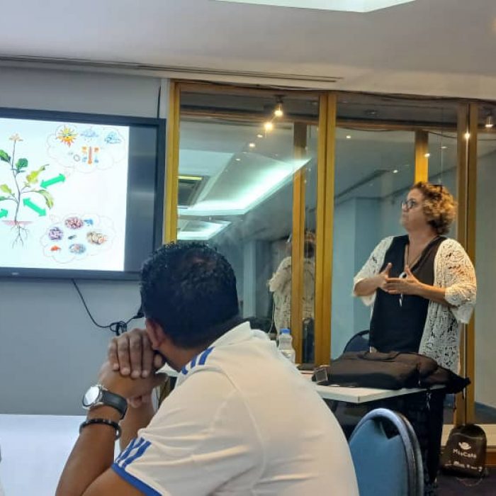 Innovación y sostenibilidad en la caficultura